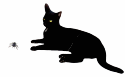 black cat spider animated gif