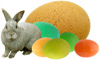 bunny with colored eggs
