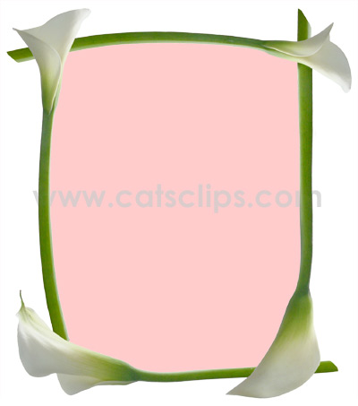 calla lilly pink border
