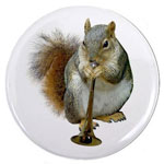 squirrel with horn button