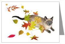 siamese cat in fall leaves card from CafePress