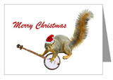 christmas banjo squirrel christmas card at cafepress