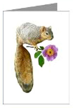 squirrel with flower card