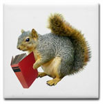 squirrel with book coaster at CafePress