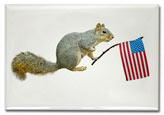 squirrel with american flag magnet