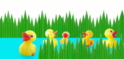ducks in sushi grass