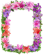 animated GIF borders