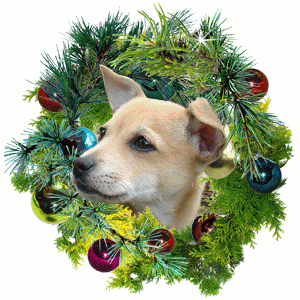 glitter wreath pet frame