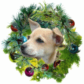 holiday pet framing