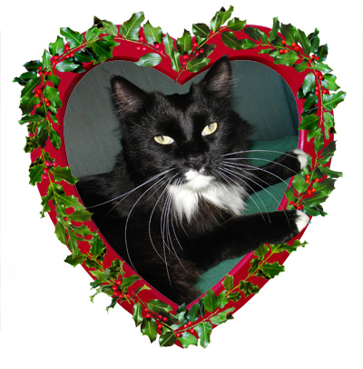 holly heart pet frame