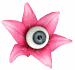 A roving eyeball in a lily flower animated gif.