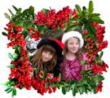 pyracantha custom frame