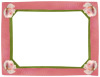 50 borders CD