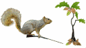 squirrel with gun