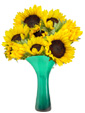 free clip art