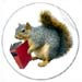 squirrel reading book stickers at zazzle