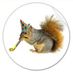 party squirrel sticker