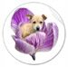 puppy flower sticker at zazzle