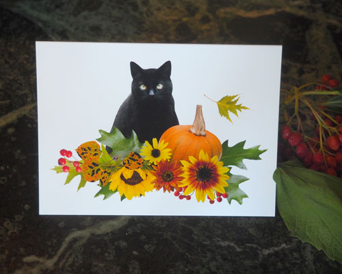 Fall Black Cat Card