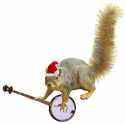 christmas banjo squirrel