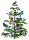 bird tree animated GIF