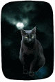 black cat moon animated GIF