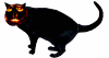 cat jack-o-lantern animated gif