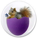 squirrel in purple eggshell button