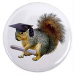 squirrel graduation button
