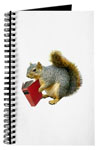 squirrel with book journal