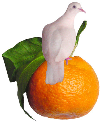 dove on tangerine