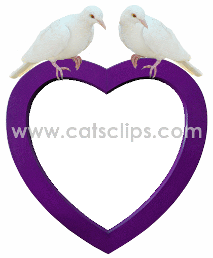 doves on purple heart animated border