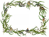 eucalyptus butterfly frame
