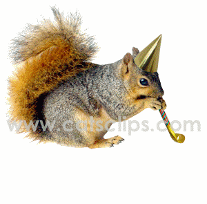 party squirrel with blower animated GIFs
