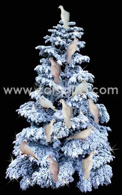 snowy dove tree
