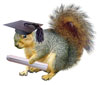 Squirrel Graduation from www.catsclips.com