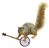 squirrel playing banjo