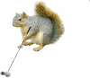 squirrel playing golf