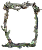 Turkey Fungus Branches border from www.catsclips.com