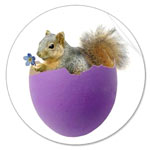 squirrel in purple eggshell sticker