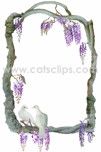 Doves in Wisteria Animated Gif Border from Cat's Clips.