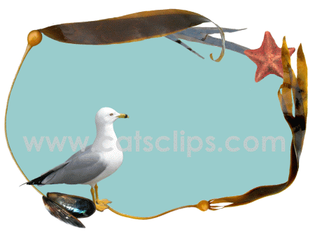 seagull animated GIF border