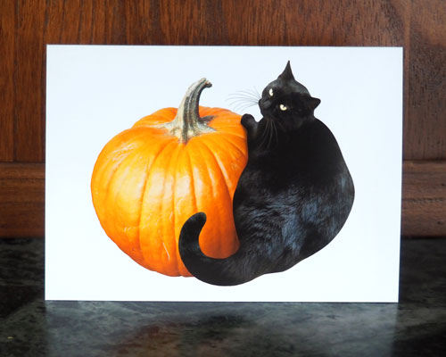 Black Cat with Pumpkin Card