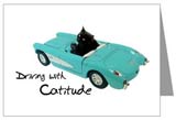 cat in car card