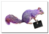 purple squirrel postcards