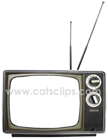 TV border