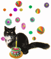 cat birthday