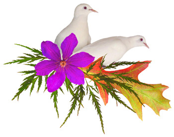 doves