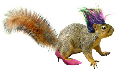 squirrel dress-up