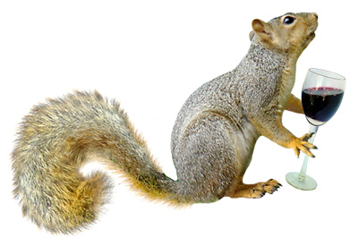 Squirrel with glass of red wine from www.catsclips.com